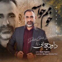 آهنگ جدید داود چهابی بهبهانی به نام خومم خواسه